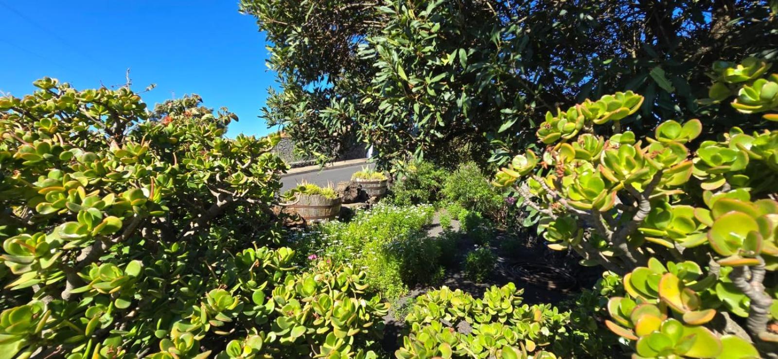 Vivienda Vacacional El Lagar, Bodega A Fuencaliente de la Palma Zewnętrze zdjęcie