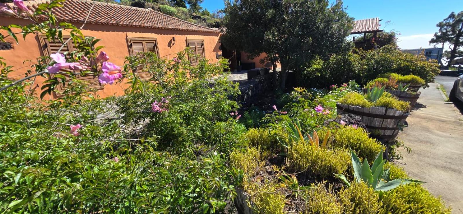 Vivienda Vacacional El Lagar, Bodega A Fuencaliente de la Palma Zewnętrze zdjęcie